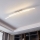 Eglo 96092 - Lámpara de techo LED PERTINI 2xLED/10,8W/230V