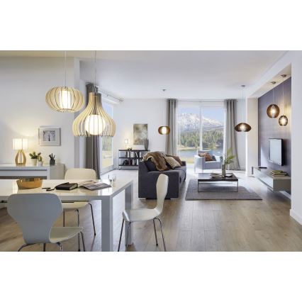 Eglo 96215 - Lámpara colgante TINDORI 1xE27/60W/230V