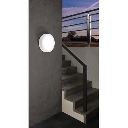 Eglo - LED Plafón exterior LED/16,5W/230V IP44