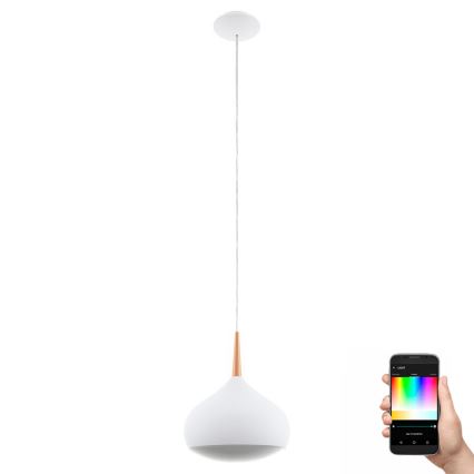 Eglo 97087 - Lámpara colgante LED RGBW regulable COMBA-C LED/18W/230V