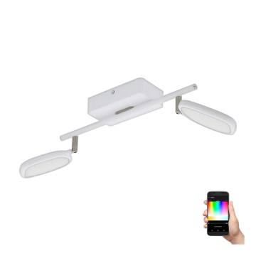 Eglo 97692 - Foco LED RGB PALOMBARE-C 2xLED/5W/230V