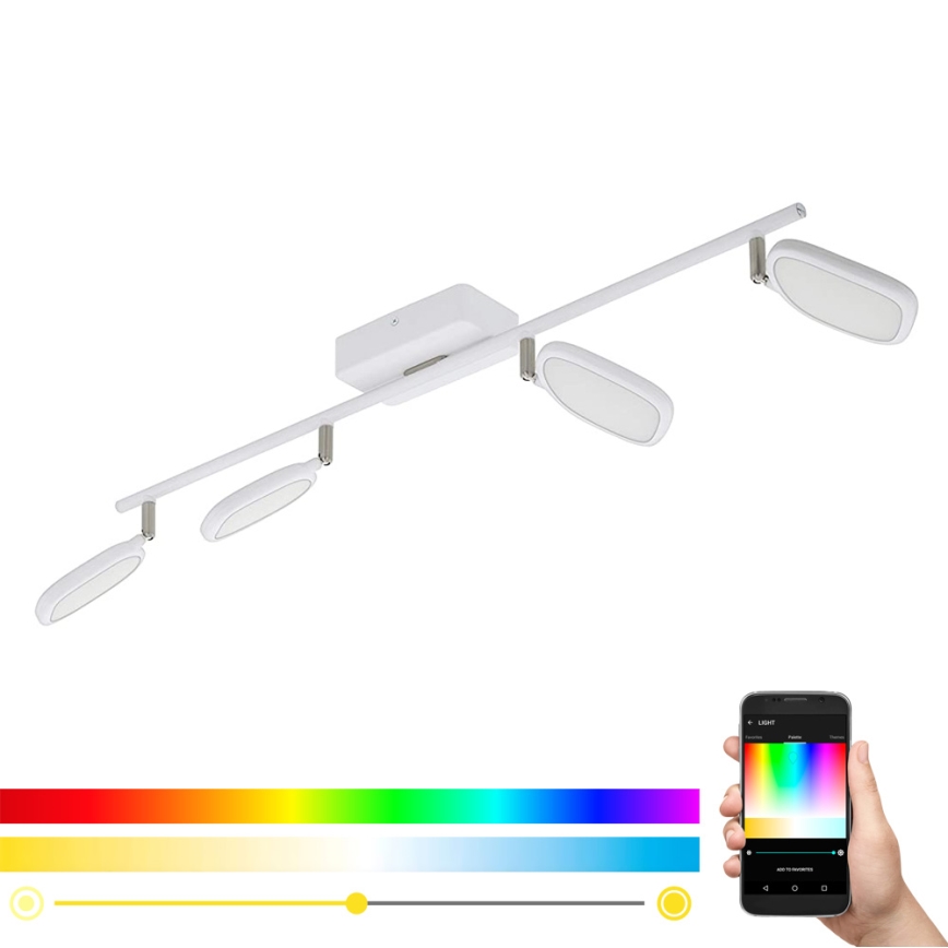 Eglo 97694 - Foco LED RGB PALOMBARE-C 4xLED/5W/230V