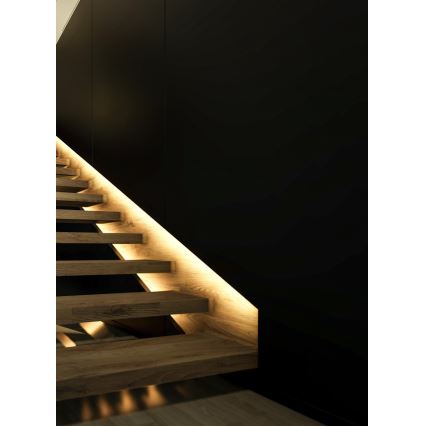 Eglo - Tira LED RGB regulable LED/10W/230V IP20 2m