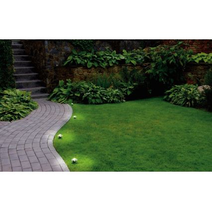 Eglo - Cadena de luces LED decorativa para exterior, 9 LEDs, 10 m, IP65, blanco cálido