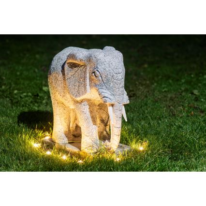 Eglo - Cadena de luces LED decorativa para exterior, 9 LEDs, 10 m, IP65, blanco cálido