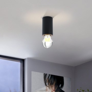 Eglo 99065 - Lámpara de techo SALUZZO 1xE27/40W/230V