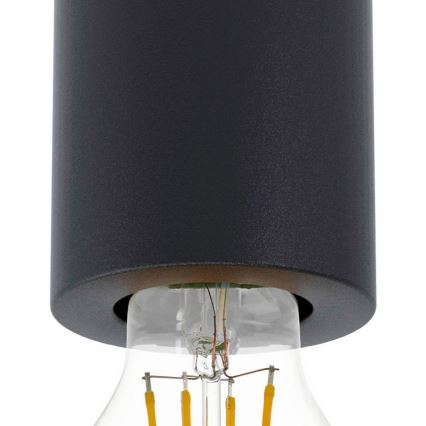 Eglo 99065 - Lámpara de techo SALUZZO 1xE27/40W/230V