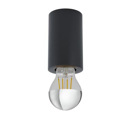 Eglo 99065 - Lámpara de techo SALUZZO 1xE27/40W/230V