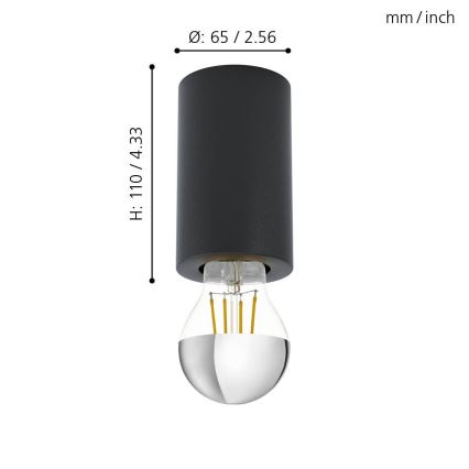 Eglo 99065 - Lámpara de techo SALUZZO 1xE27/40W/230V
