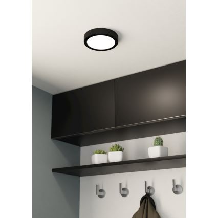 Eglo - Lámpara de techo LED, 10,5 W, 230 V, diámetro 16 cm
