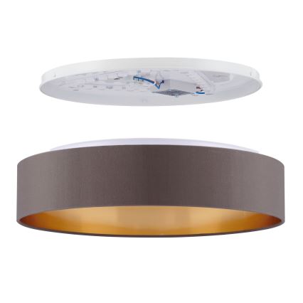 Eglo - Plafón LED LED/24W/230V