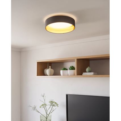 Eglo - Plafón LED LED/24W/230V