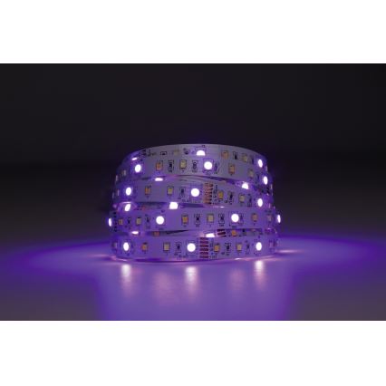 Eglo - Tira LED RGBW regulable 5m LED/11W/12/230V 2700-6500K ZigBee
