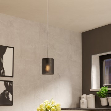 Eglo - Lámpara colgante 1xE27/40W/230V gris