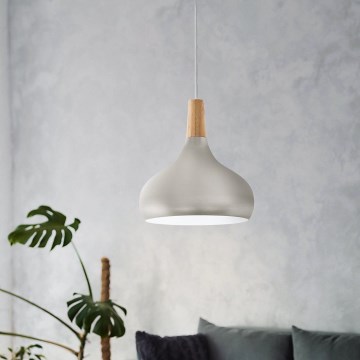 Eglo - Lámpara colgante con cable 1xE27/60W/230V, diámetro 28 cm, plateada