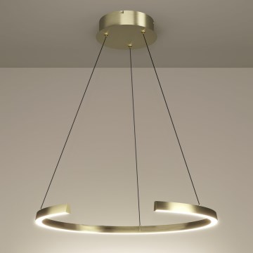 Eglo - Lámpara colgante LED regulable con cable LED/24,8W/230V 2200-6500K dorada + mando a distancia