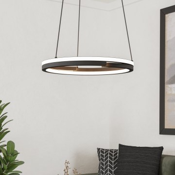 Eglo - Lámpara colgante LED regulable sobre cable 2xLED/20W/230V 2700-6500K Ø 48 cm negra + mando a distancia