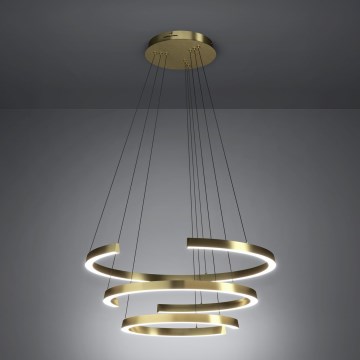 Eglo - Lámpara colgante LED regulable suspendida en cable LED/50W/230V 2200-6500K dorada + mando a distancia
