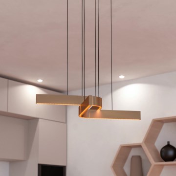 Eglo - Lámpara colgante regulable LED RGBW con cable 2xLED/18W/230V cobre/negro