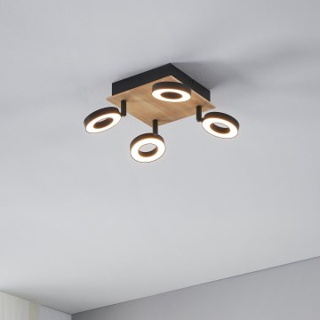 Eglo - Lámpara de focos LED 4xLED/4,2W/230V negro/marrón