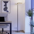 Eglo - Lámpara de pie LED regulable LED/16W/230V + LED/12W dorada/negra