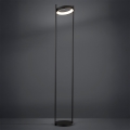 Eglo - Lámpara de pie LED regulable LED/20W/230V 3000K negro