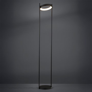 Eglo - Lámpara de pie LED regulable LED/20W/230V 3000K negro