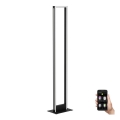 Eglo - Lámpara de pie LED regulable LED/33W/230V 2700-6500K