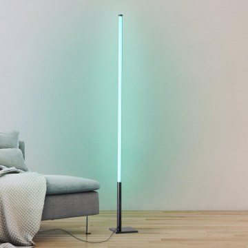 Eglo - Lámpara de pie LED RGB regulable LED/13,5W/230V 2700-6500K + mando a distancia