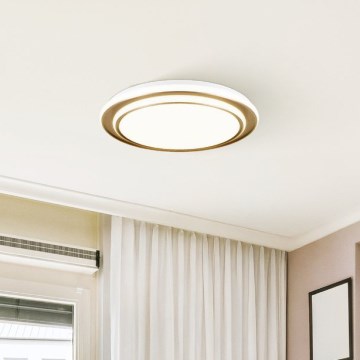 Eglo - Lámpara de techo LED 36W/230V, 2700/4000/6500K, Ø 49 cm, dorado