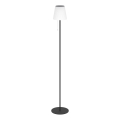 Eglo - LED Lámpara solar de pie recargable LED/2,3W/3,7V 3000/4000/6500K 1800 mAh IP44 negra