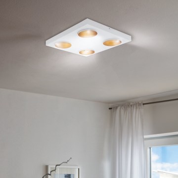 Eglo - LED Plafón regulable 4xLED/3,3W/230V