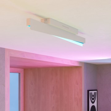 Eglo - Luminaria de techo LED RGBW regulable LED/13W/230V 2700-6500K gris