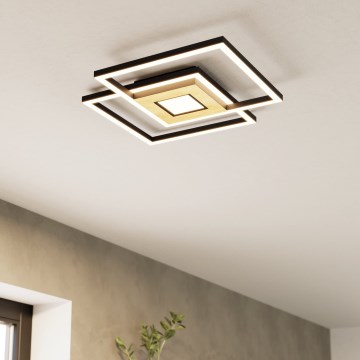 Eglo - Luminaria LED regulable de techo 2xLED/17W/230V +LED/4,2W 2700-6500K + mando a distancia