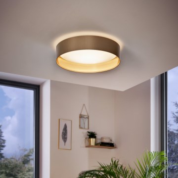 Eglo - Plafón LED LED/24W/230V