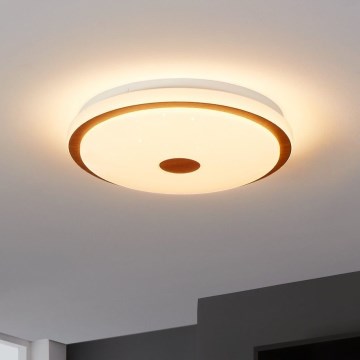 Eglo - Plafón LED regulable LED/24W/230V + mando a distancia