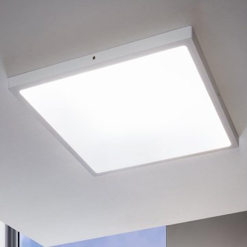 Eglo - Plafón LED regulable LED/25W/230V 50x50 cm