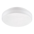Emithor 63206 - Luminaria técnica de techo LED de superficie/20W/230V IP65