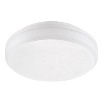 Emithor 63206 - Luminaria técnica de techo LED de superficie/20W/230V IP65
