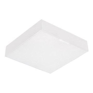 Emithor 63215 - Luminaria de techo SURFACE LED/10W/230V