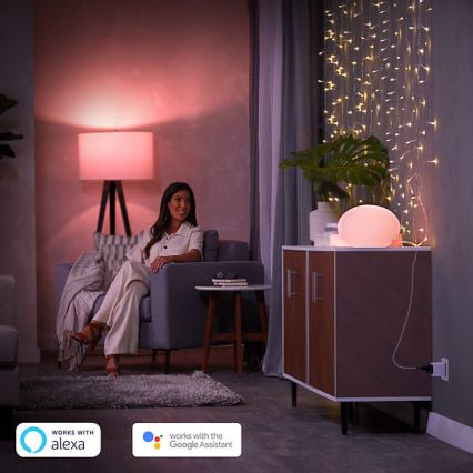 Toma inteligente Philips Smart plug BE/FR