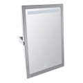 Espejo 40 x 60 cm acero inoxidable/plateado