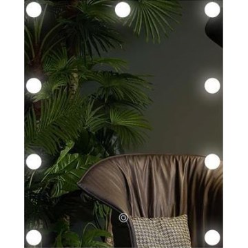 Espejo LED con iluminación 9xLED/1W/230V 3000/4000/6000K 50x40 cm IP44