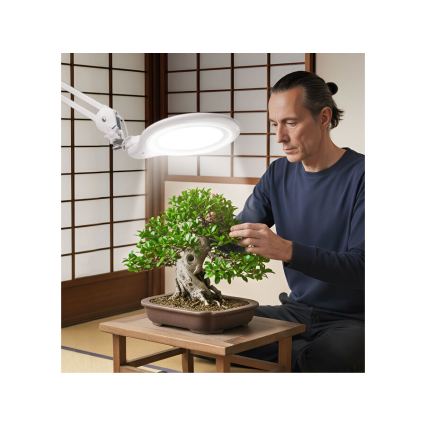 Extol - lámpara de sobremesa LED regulable con lupa LED/10W/230V blanca