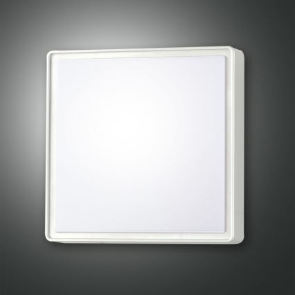Fabas 3233-65-102 - Iluminación técnica OBAN 2xE27/30W/230V IP65