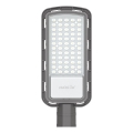 Farola LED LED/100W/230V 6500K IP65 gris