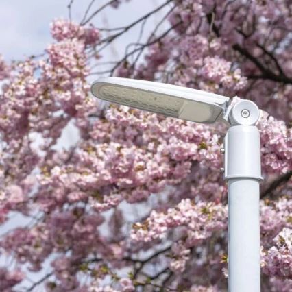 Farola LED SOLIS LED/30W/230V 4000K IP65