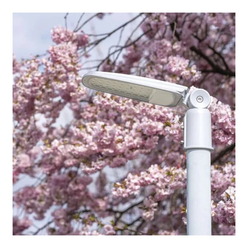 Farola LED SOLIS LED/30W/230V 4000K IP65