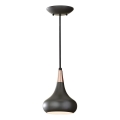 Feiss - Lámpara colgante BESO con cable 1xE27/60W/230V Ø 17,9 cm negro/cobre