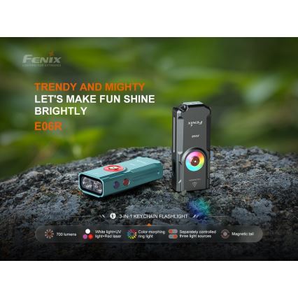 Fenix ​​E06RGRY - Linterna LED recargable y regulable UV LED/USB IP66 700 lúmenes 60 h 750 mAh gris